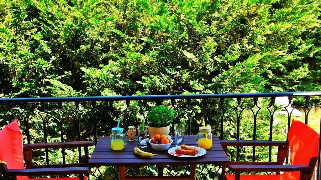 Aparthotel Santa Emelia Vassiliki Esterno foto